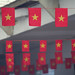 Sao Vang Photo 31