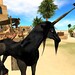 Sang Sim Photo 29