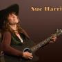 Sue Harris Photo 29