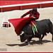 Juan Morante Photo 30