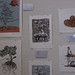 Ashley Congdon Photo 25