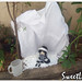Kimberly Neve Photo 10