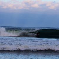 Tommy Walsh Photo 8
