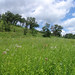 Jon Valley Photo 13