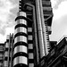Lloyd Grey Photo 21