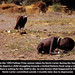 Kevin Carter Photo 56