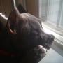 Chong Her Photo 20