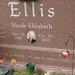 Nicole Ellis Photo 40