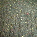 Joann Silk Photo 22