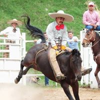 Guillermo Ibarra Photo 3
