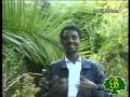 Solomon Kebede Photo 25