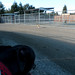 Russell Gilroy Photo 19