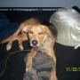 Matthew Culp Photo 28