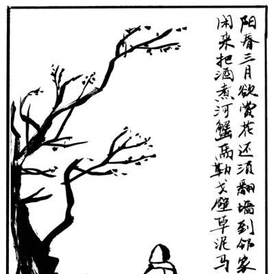 Hao Yang Photo 16
