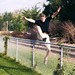 Mark Jump Photo 34