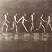 Thomas Eakins Photo 14
