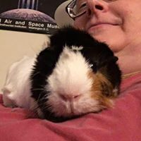 Margaret Hendrickson Photo 1