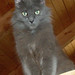 Dolly May Photo 33