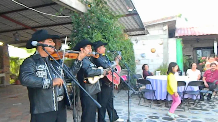 Noel Velazquez Photo 31