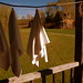 Jean Torchon Photo 12
