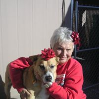 Sharon Donahue Photo 7