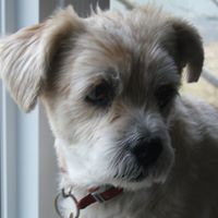 Doreen Sharpe Photo 6