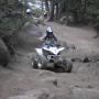 Brian Macdonald Photo 27
