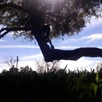 Stephen Bohn Photo 1