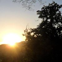 Walter Manrique Photo 3