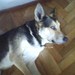 Tony Marrone Photo 35