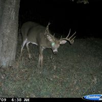 Ralph Wiley Photo 3