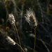 Sean Tufts Photo 18