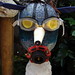 Jeff Grove Photo 37