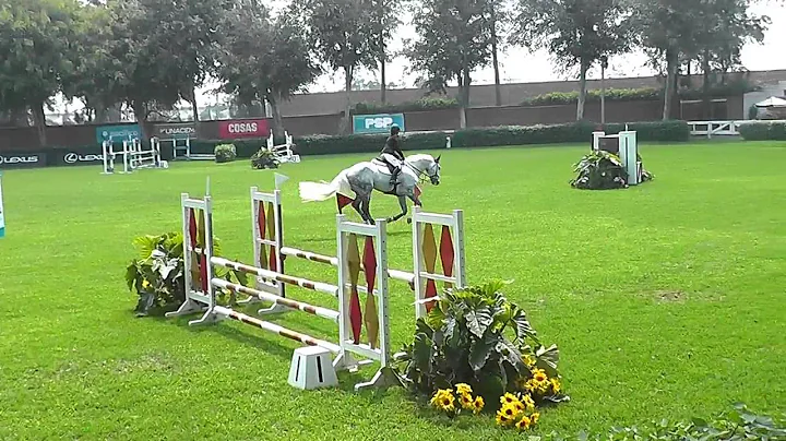 Carmen Morelli Photo 11