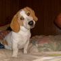Donna Moorehead Photo 9