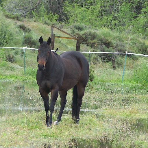 Suzanne Mcreynolds Photo 6