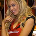 Steven Robbins Photo 45