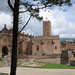 Javier Jasso Photo 37