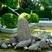Cecilio Fuentes Photo 18