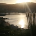 Sue Harbour Photo 25