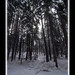 Traci Winter Photo 23