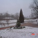 Betty Mcvey Photo 29