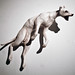 Christopher Cutts Photo 34