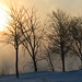 Lawrence Winters Photo 26