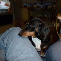 Terry Iverson Photo 4