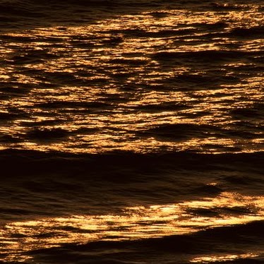 Roy Whittaker Photo 9