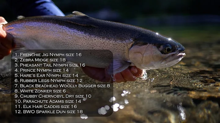 Robert Orvis Photo 22