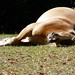 Joseph Luise Photo 22