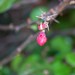 Gary Thorn Photo 37