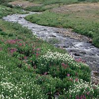 Fred Ritz Photo 5